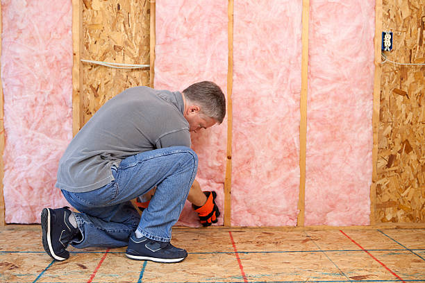 Best Insulation Installation Services in East Moline, IL