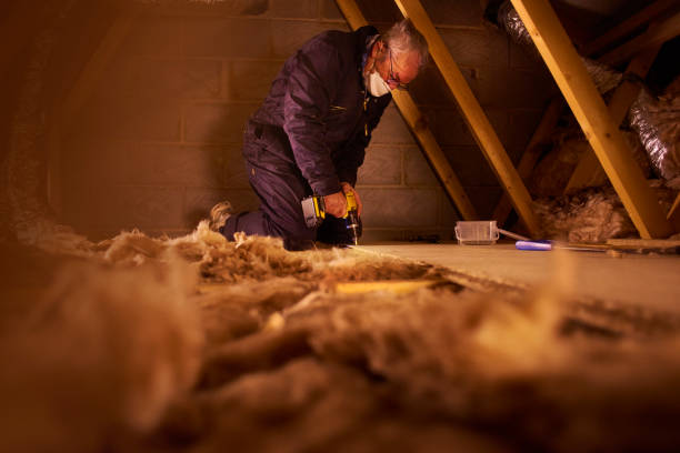 Best Types of Insulation in East Moline, IL